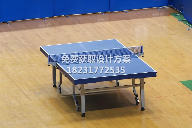 乒乓球馆木地板